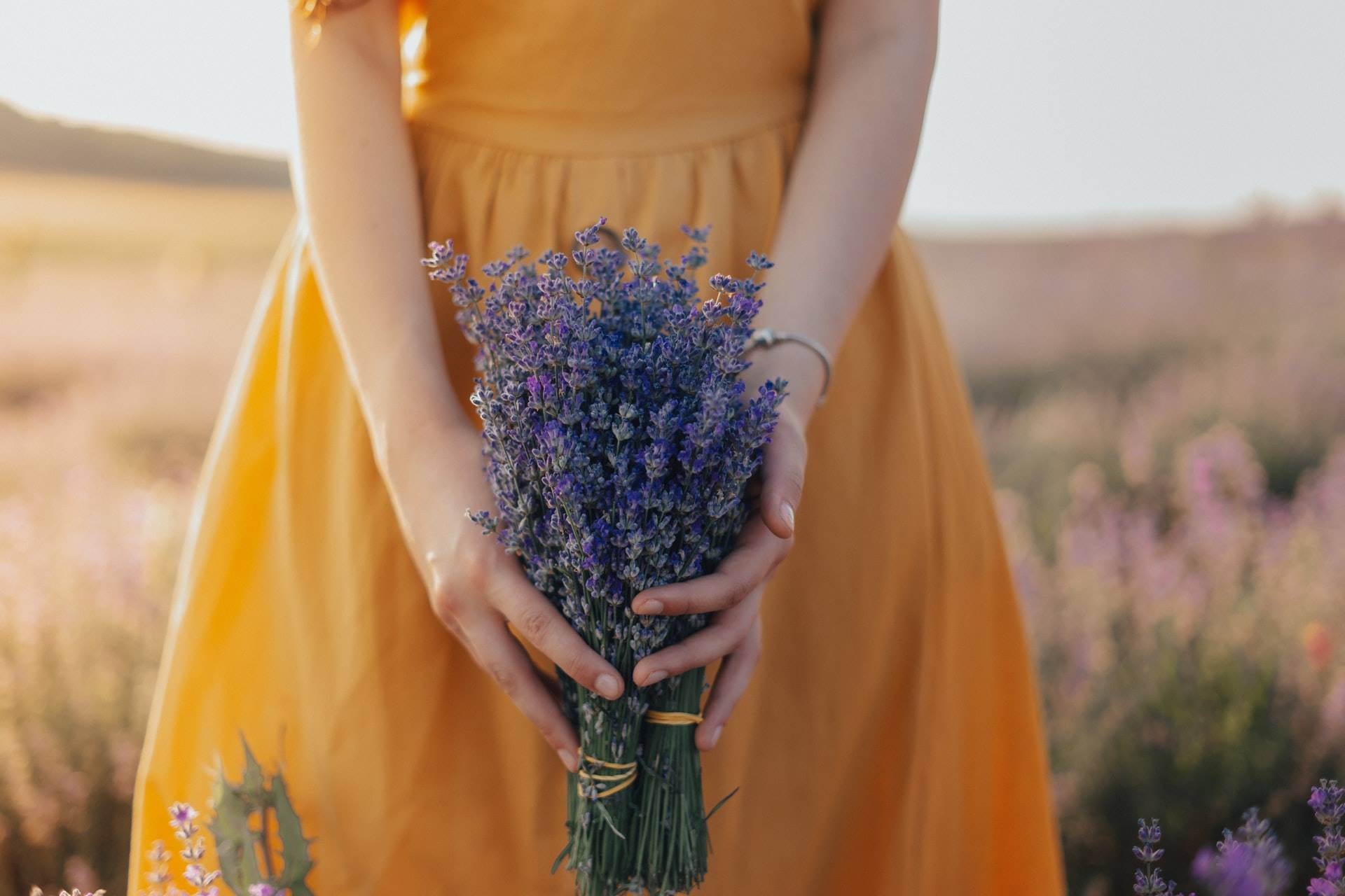 5 teo-sticea-3XNPZH1tfvw-unsplash