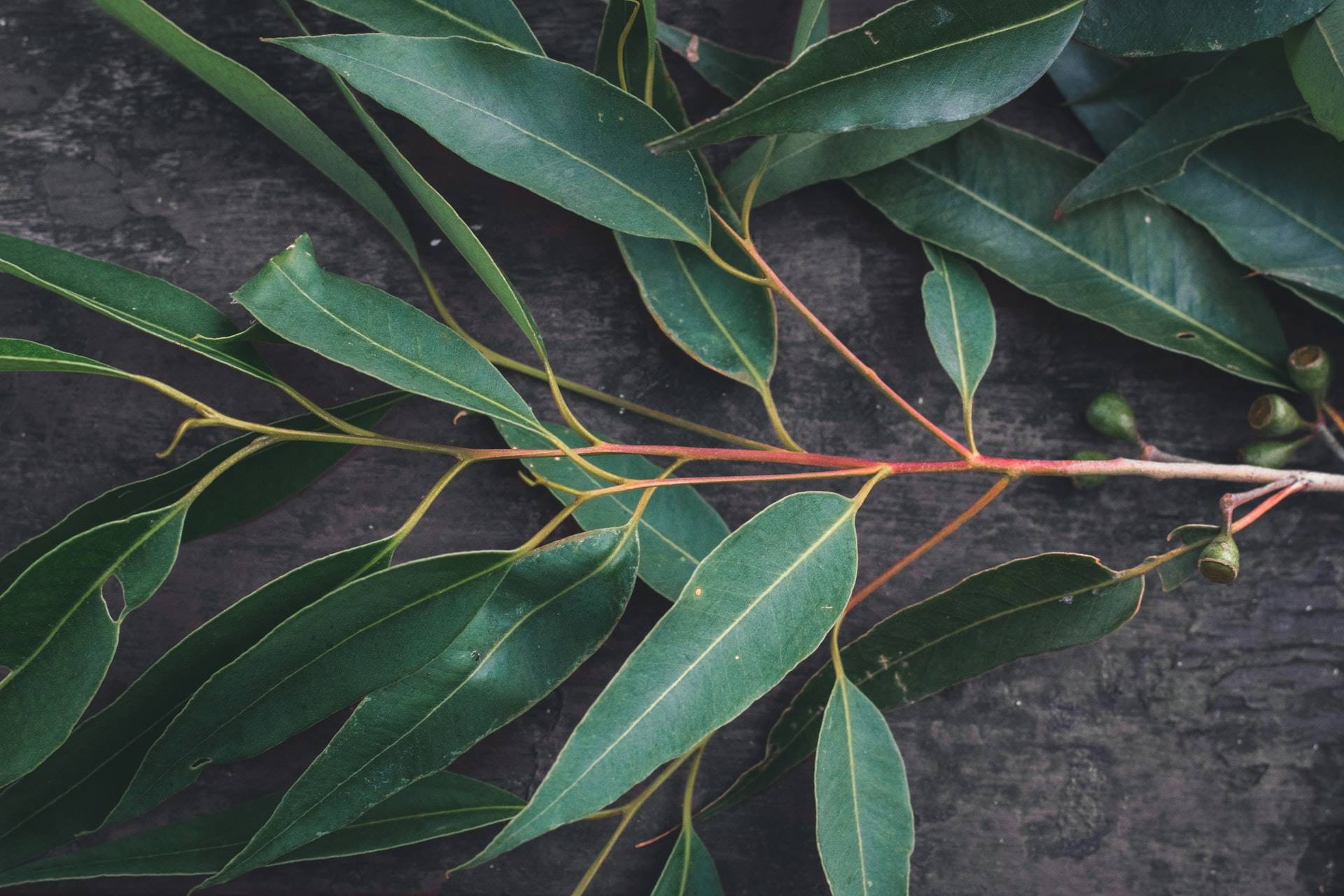 7 april-pethybridge-fYO0sHDF9Dw-unsplash