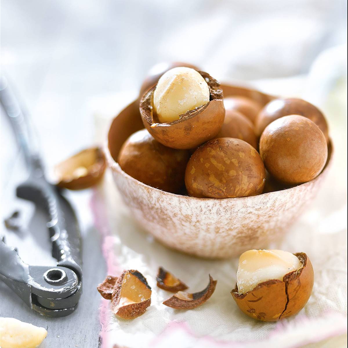 Nueces De Macadamia: Guía Completa En Español