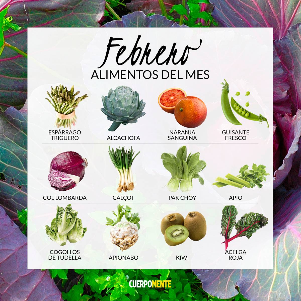 Calendario de frutas y verduras de temporada de febrero
