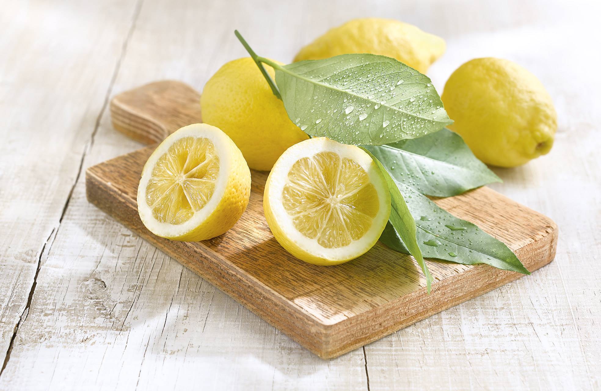 LIMON