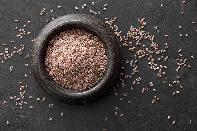 StockFood 12344057 HiRes Psyllium seeds in a stone mortar