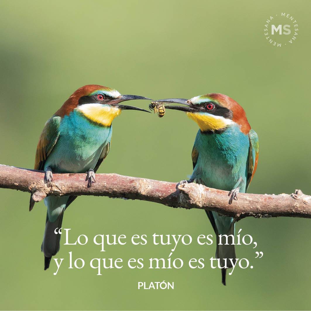 thumbnail FRASES Compartir4. 8. “Lo que es tuyo es mío, y lo que es mío es tuyo.” (Platón)