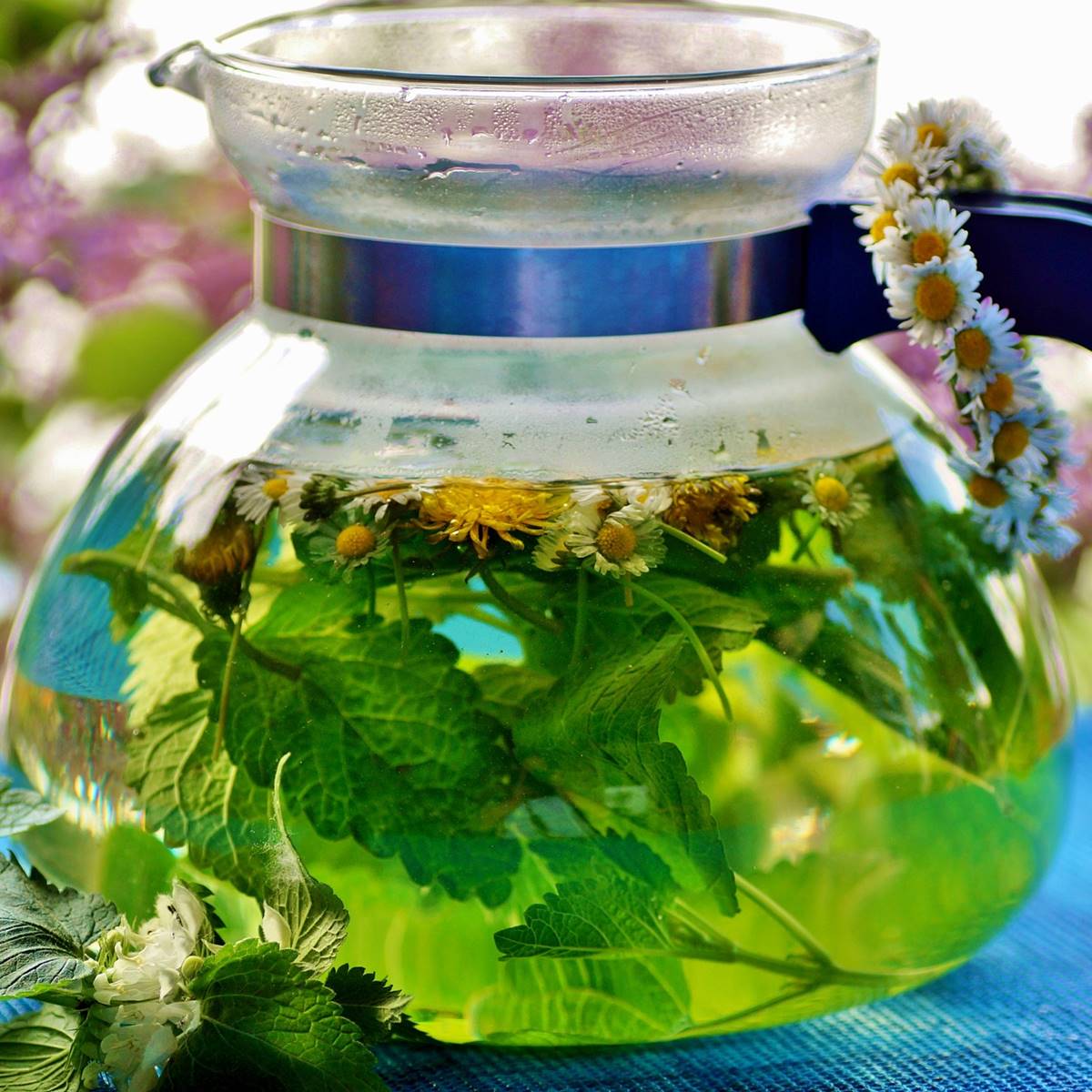 Tetera con plantas medicinales