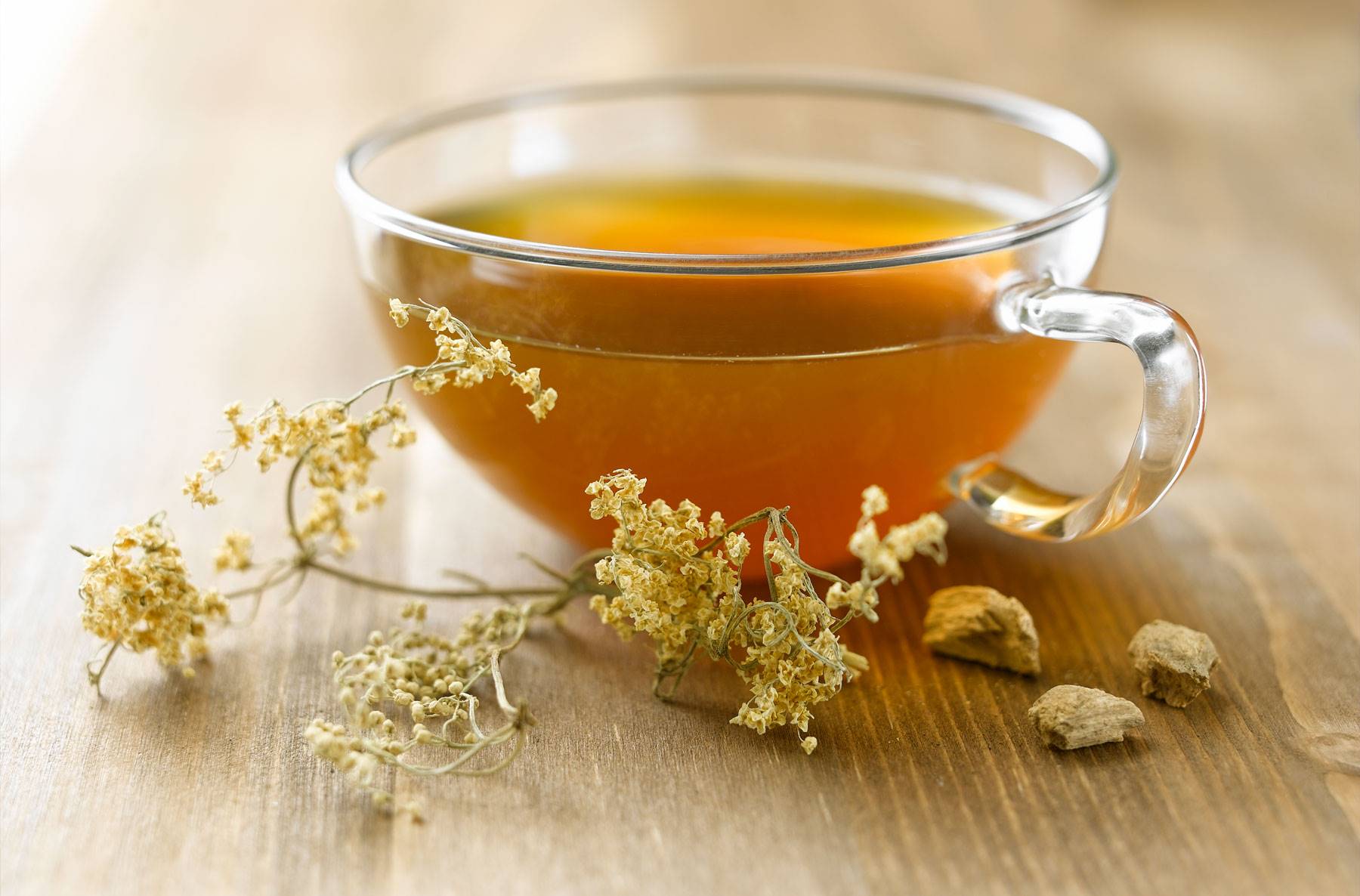 INFUSION-GENCIANA. Infusión de genciana con saúco