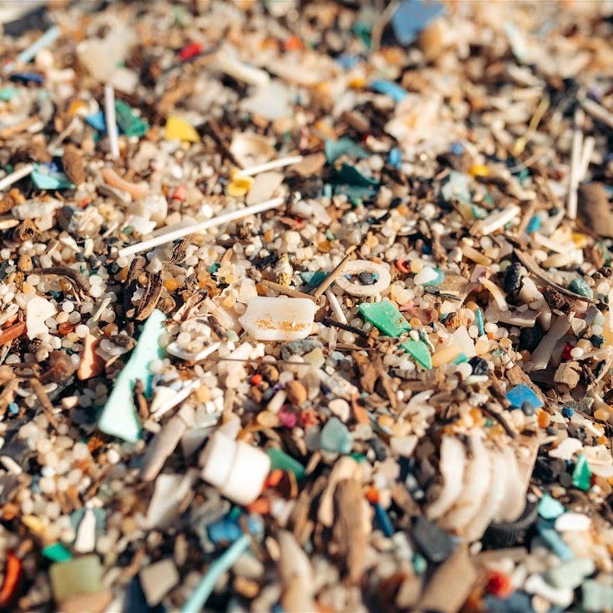 contaminación plástico playas