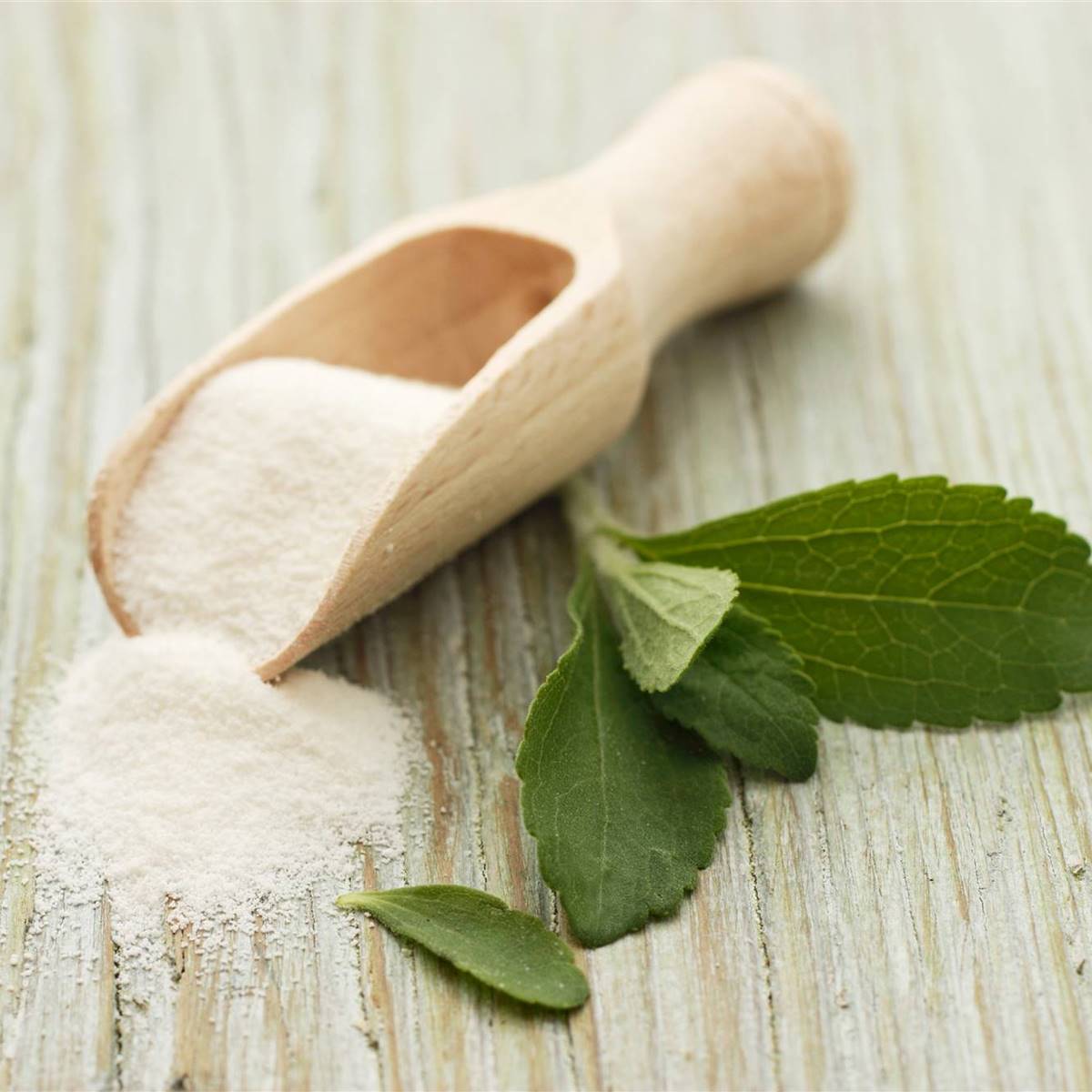 stevia