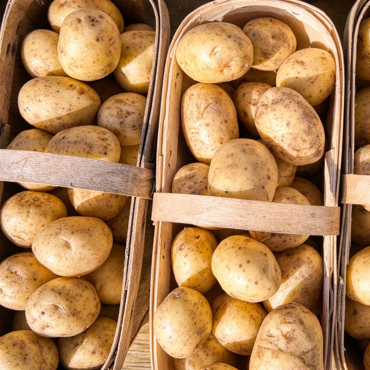 cestas de patatas