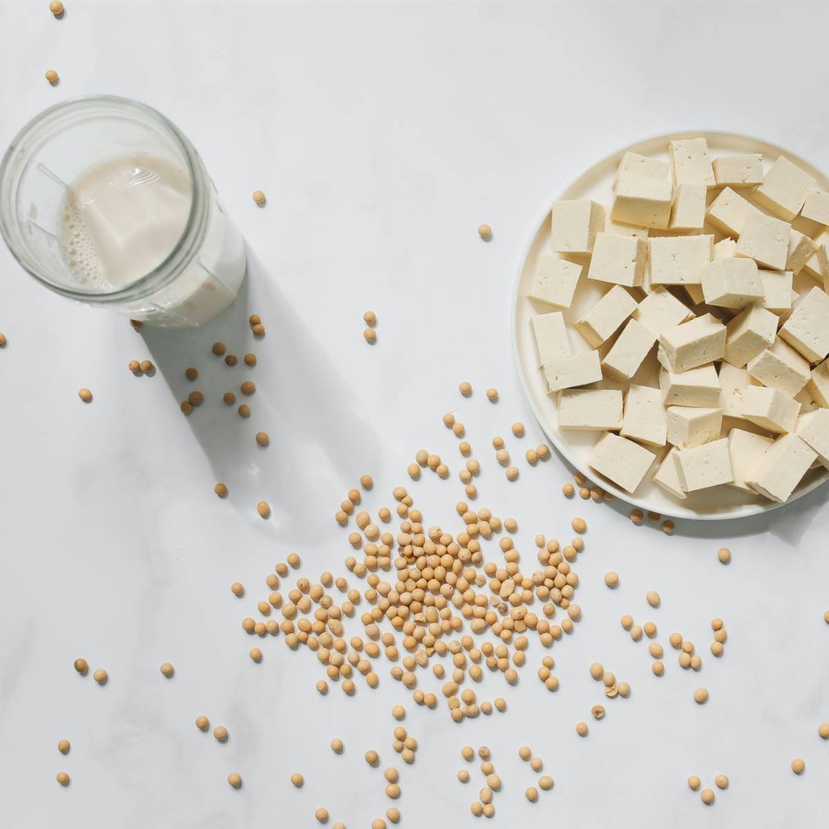 Soja, tofu y leche de soja