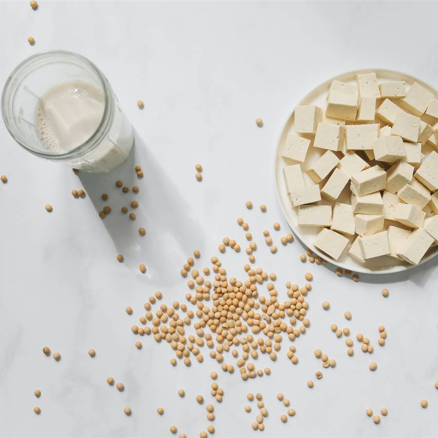 Soja, tofu y leche de soja