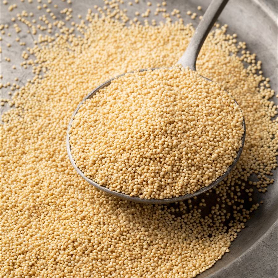 Cómo cocinar amaranto de forma fácil y rápida