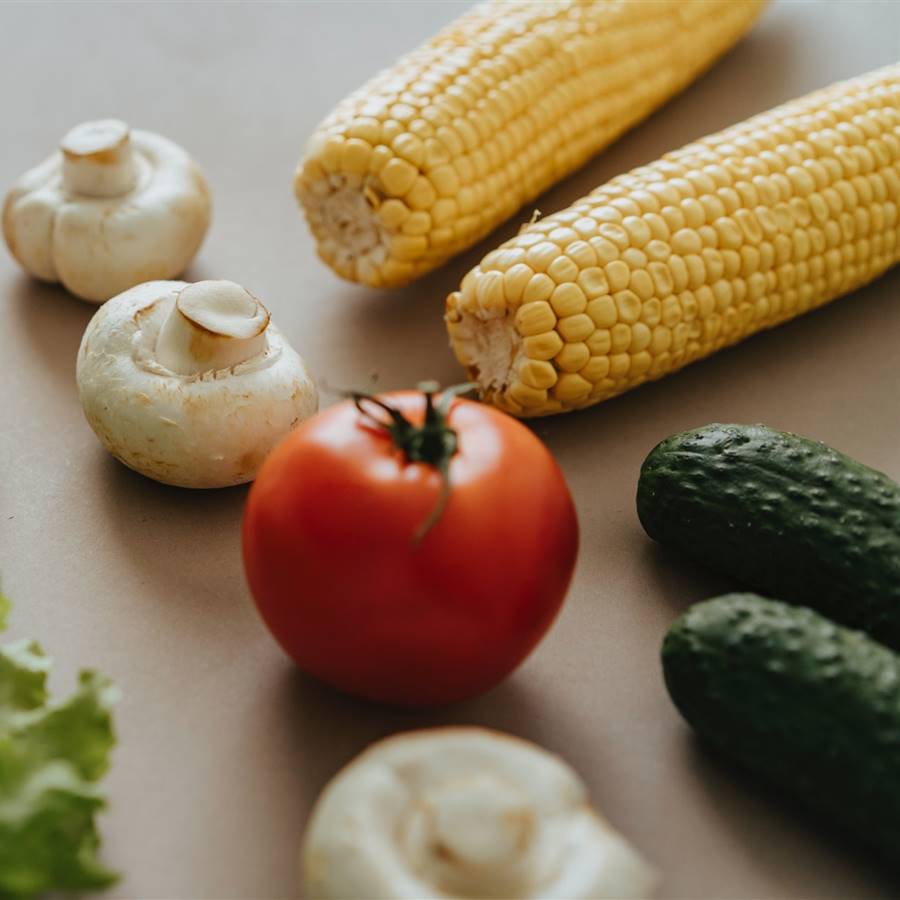 Alergia al níquel: alimentos y dieta baja en este metal