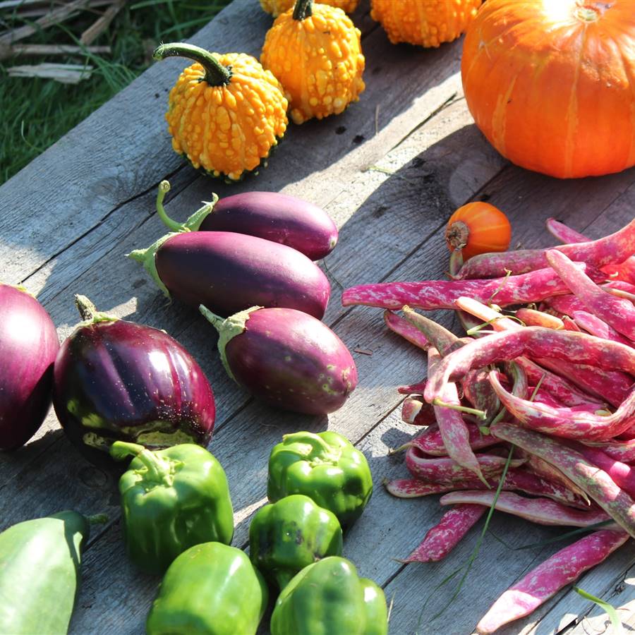 Verduras: 10 dudas muy habituales resueltas