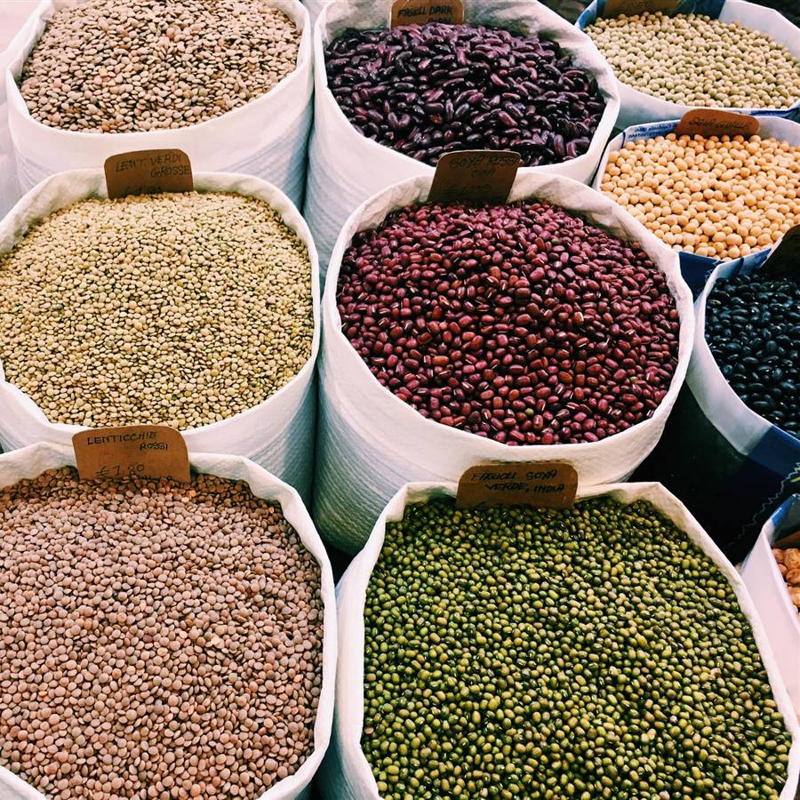 Sesión plenaria chocolate pestillo Batidos de proteínas veganos ecológicos: propiedades y cuándo recurrir a ellos Sesión plenaria chocolate pestillo Batidos de proteínas veganos ecológicos: propiedades y cuándo recurrir a ellos