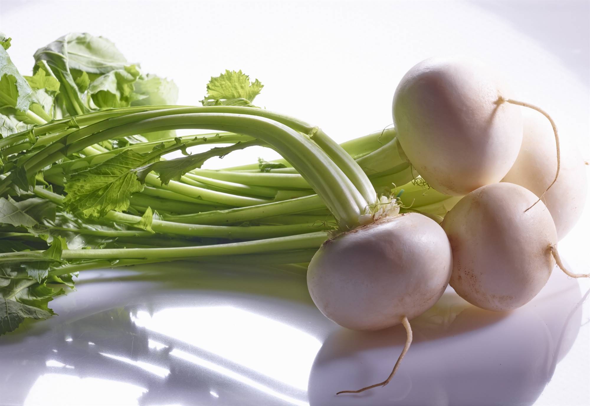 StockFood 11512936