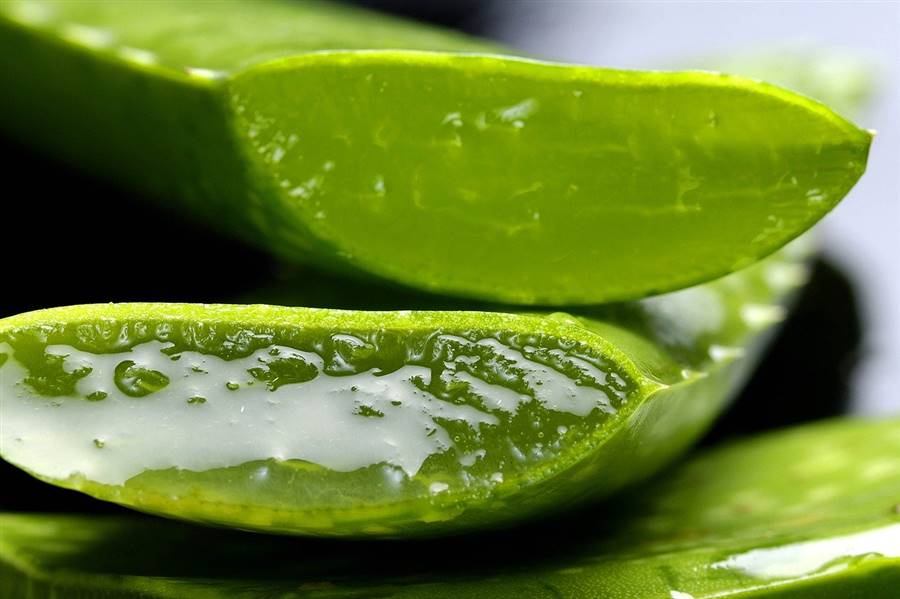aloe-vera-piel