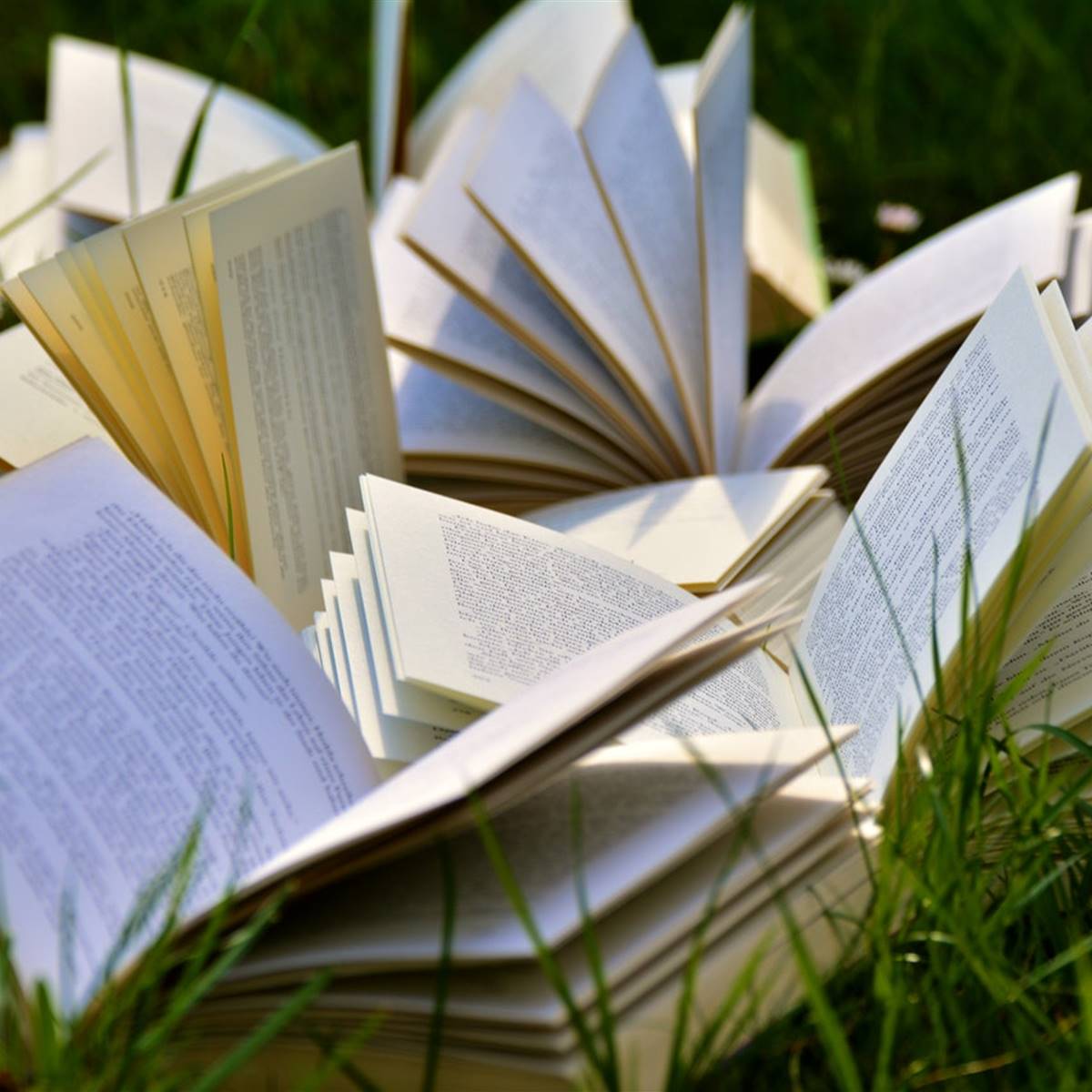 libros para superar el miedo