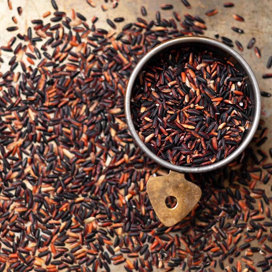 wild rice characteristics
