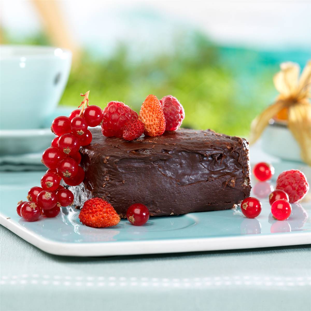 TARTA 042