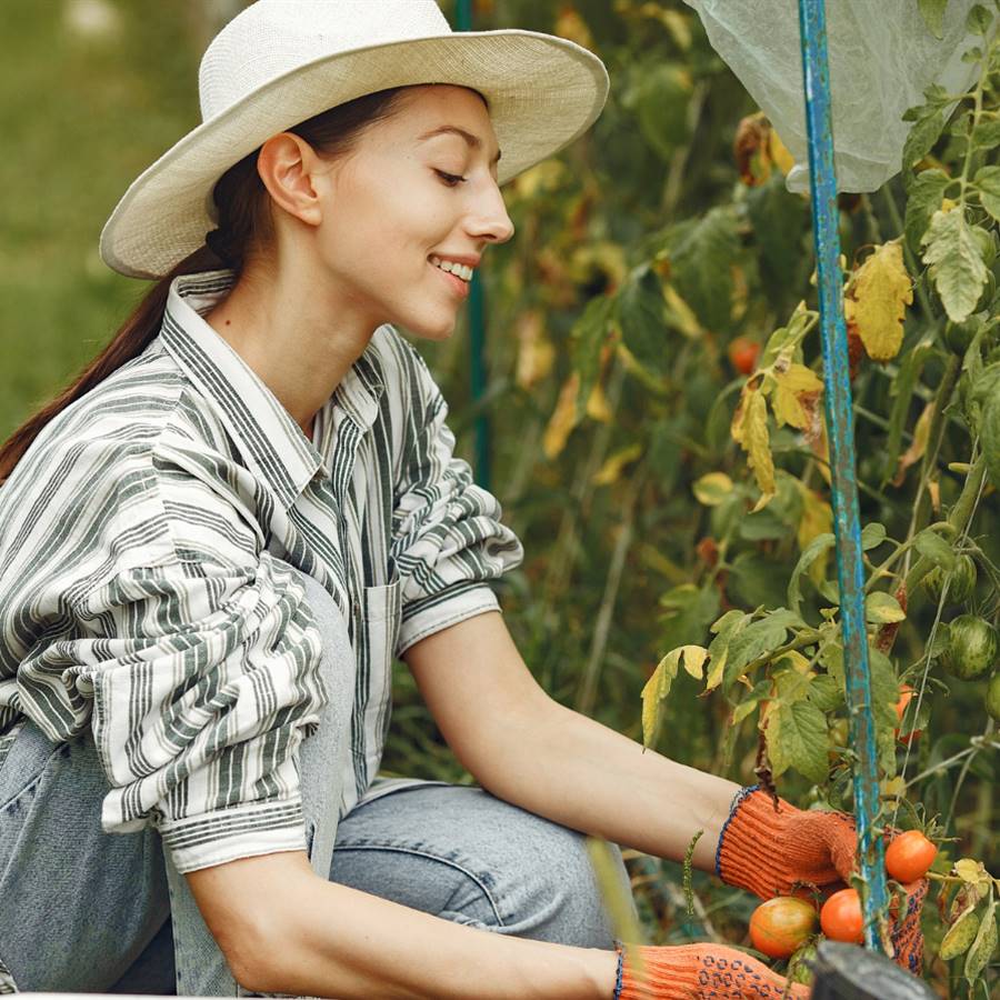 Calendario del huerto: qué plantar y cosechar en marzo