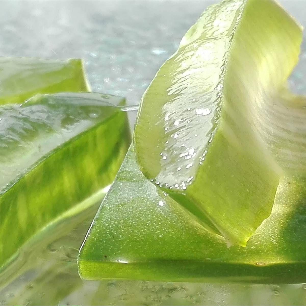 Cómo aplicar aloe vera para la piel