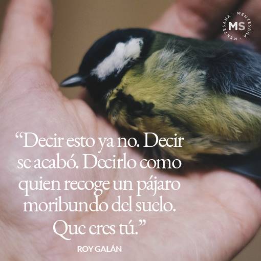 "Decir esto ya no. Decir se acabó. Decirlo como quien recoge un pájaro moribundo del suelo. Que eres tú."