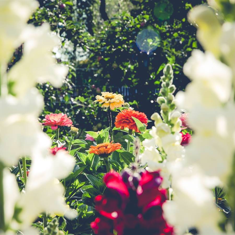 belleza-naturaleza
