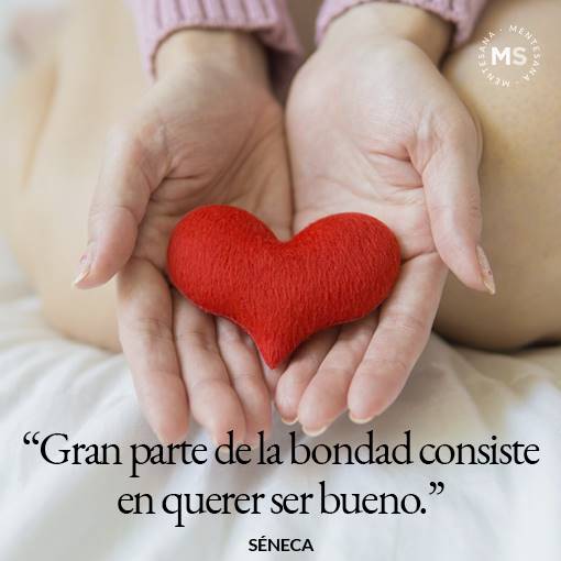 "Gran parte de la bondad consiste en querer ser bueno." (Séneca)