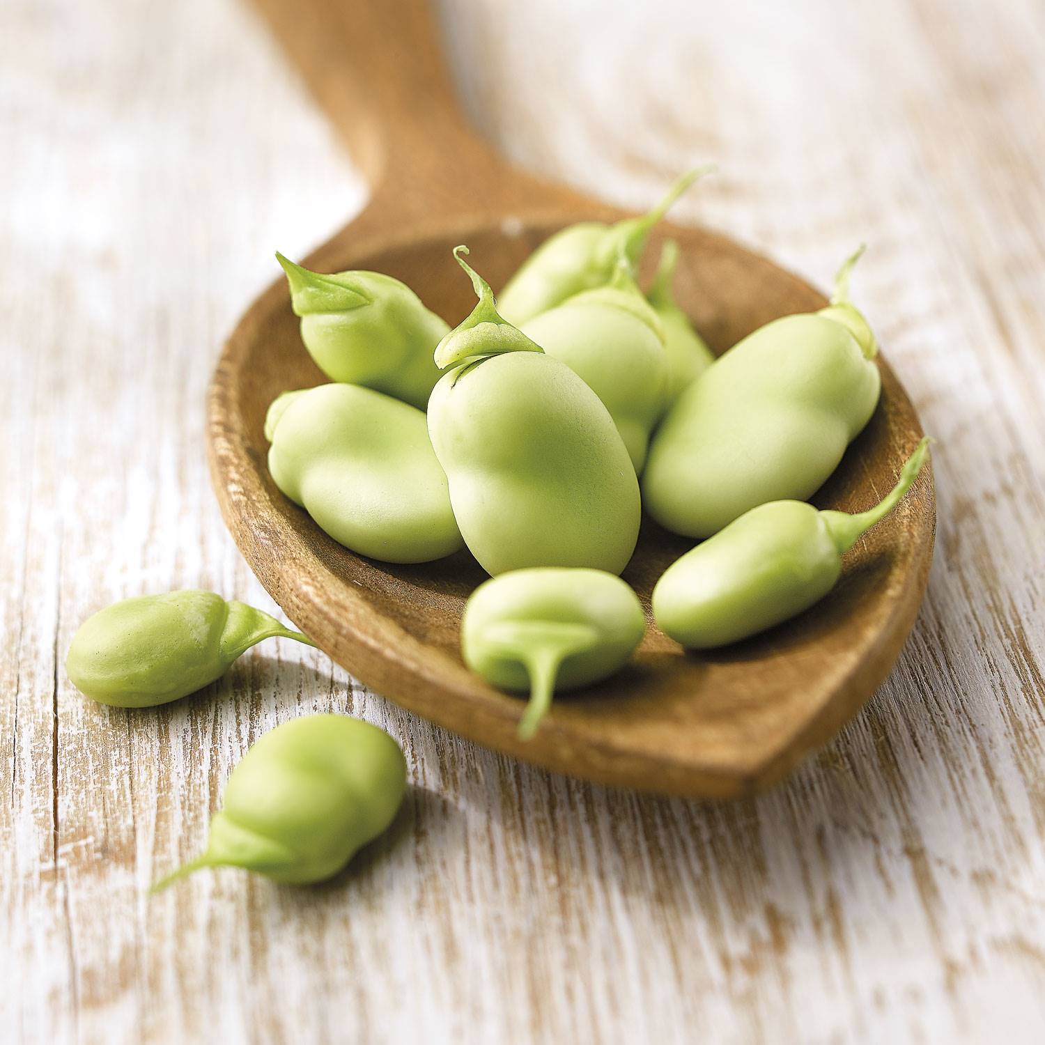 alimentos-potasio-habas-tiernas. Habas tiernas