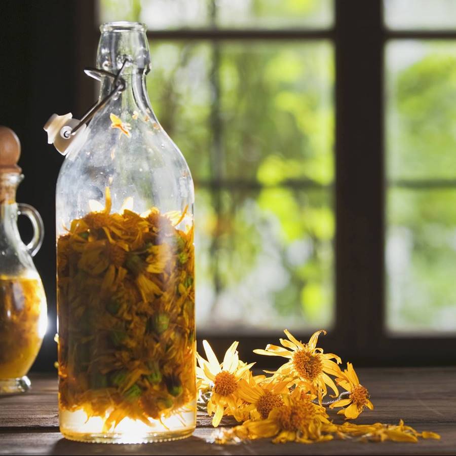 5 plantas que previenen los efectos de la alergia al polen 