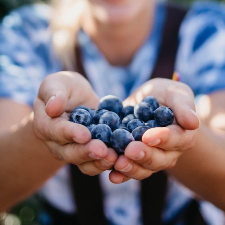 18 superalimentos muy valiosos para tu salud