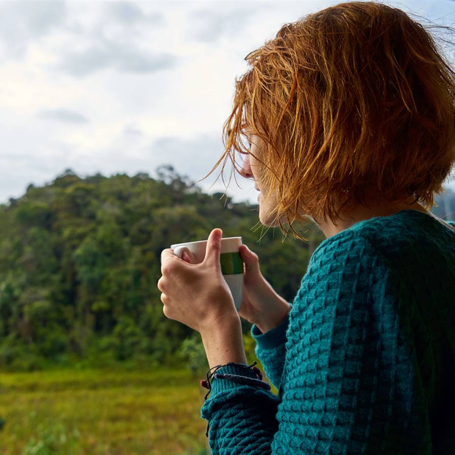 Valeriana para la ansiedad: todo lo que debes saber