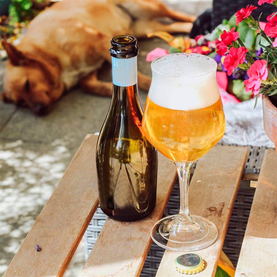 alcohol cantidad y riesgo salud