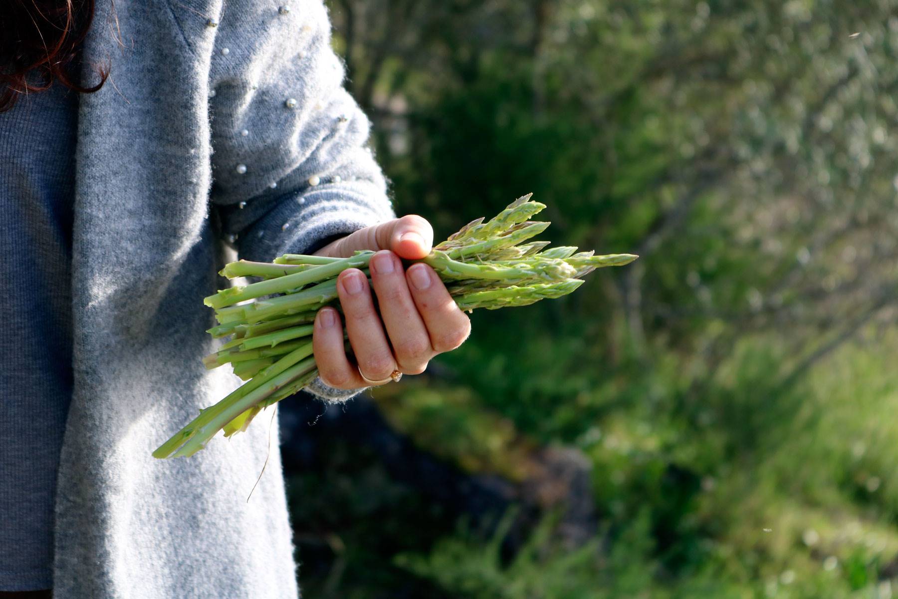 alimentos-encias-esparragos