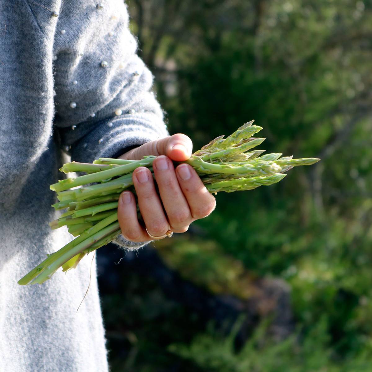 alimentos-encias-esparragos