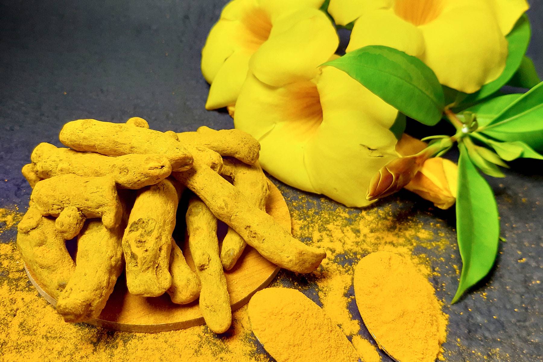 plantas-circulacion-curcuma-longa. Cúrcuma