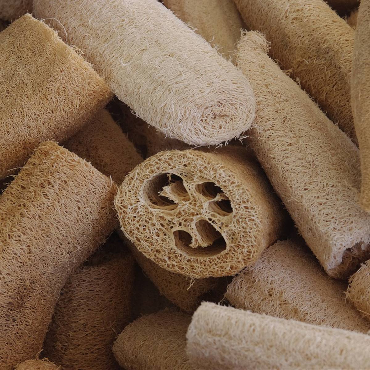 luffa