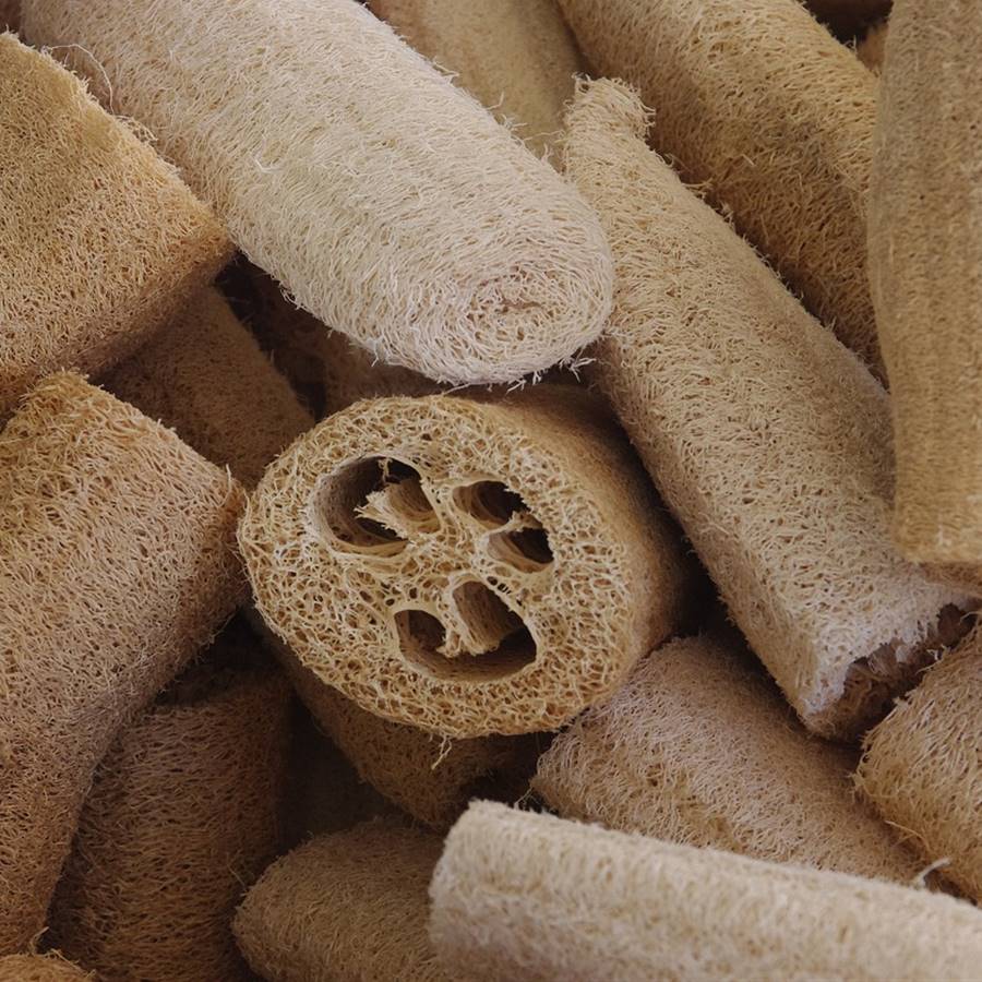 El estropajo de la cocina: la cosa con más bacterias en una casa (soluciones)