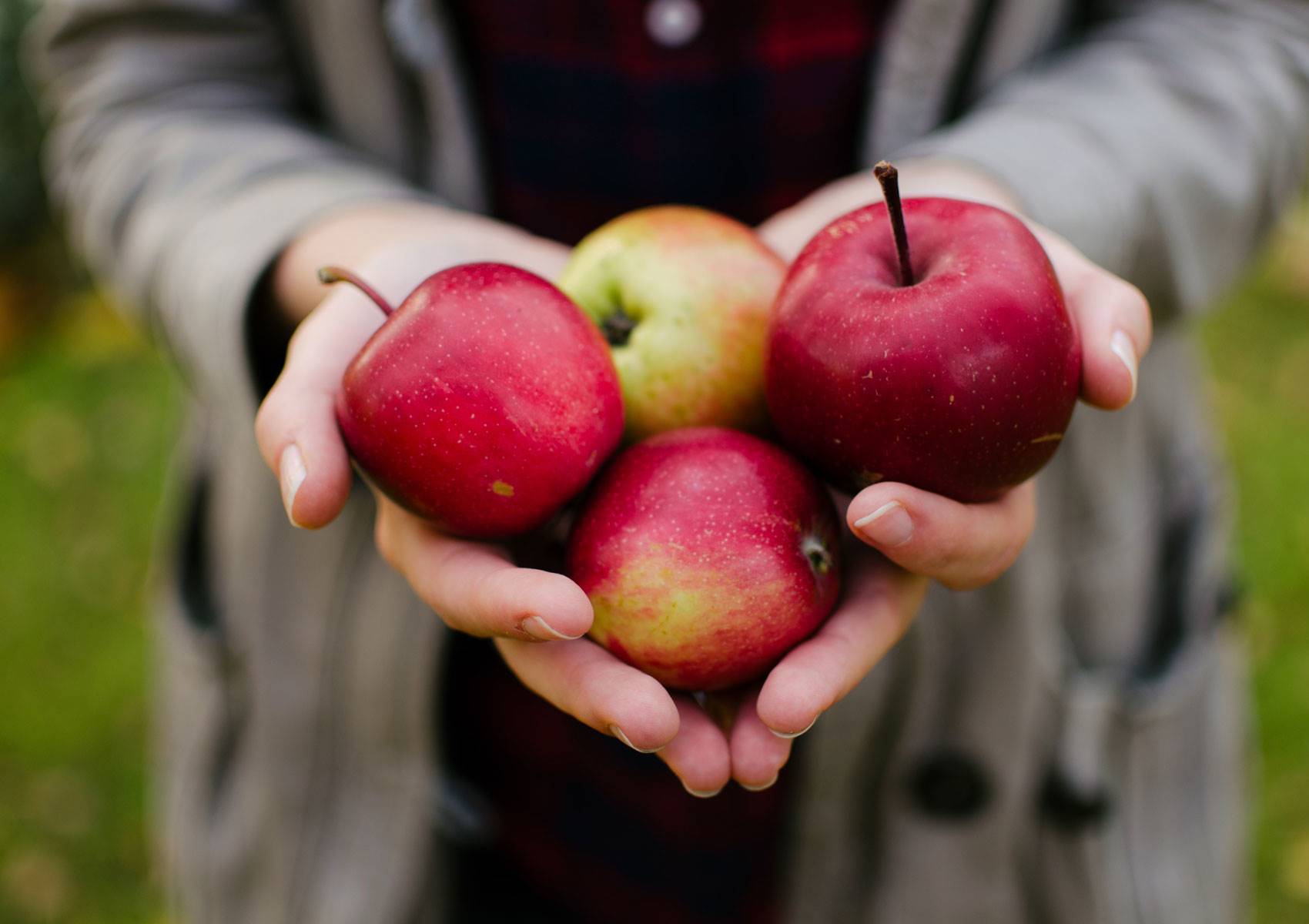 alimentos-fibromialgia-manzana