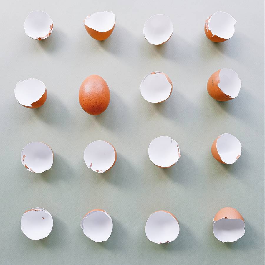 Cáscaras de huevo y un huevo entero