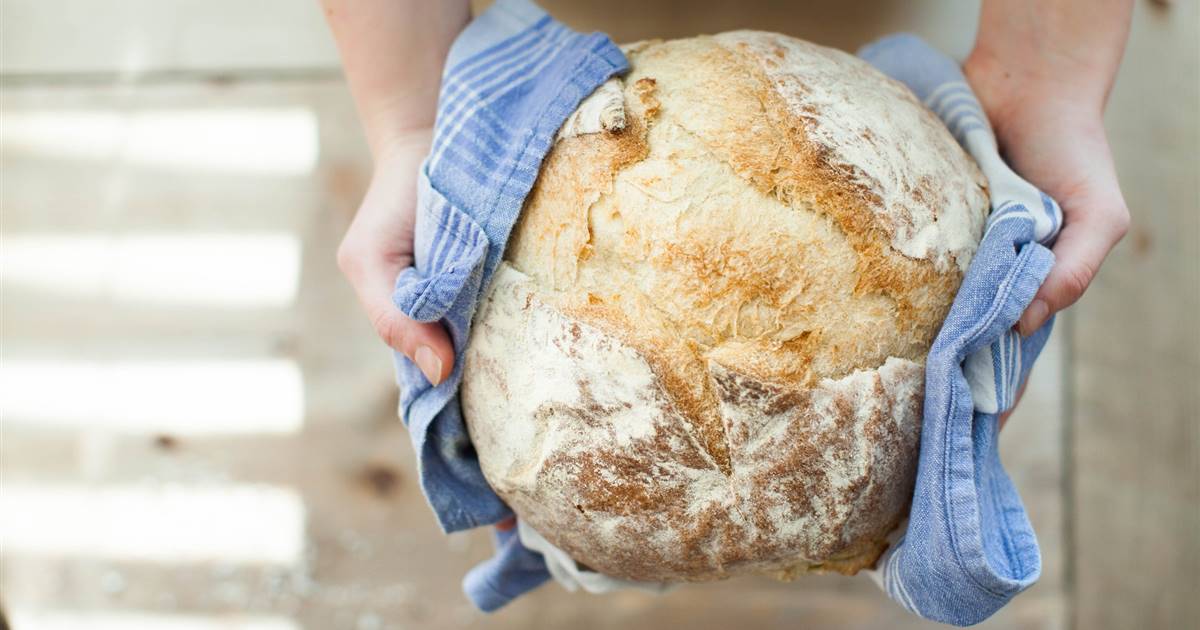 Diariamente Subvención obvio El pan previamente congelado y el pan seco son más saludables