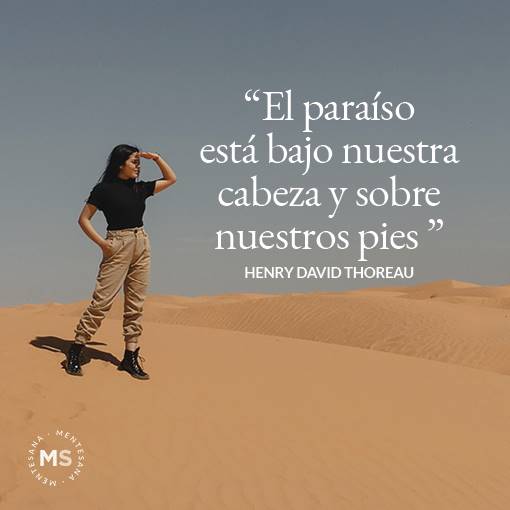 11 frases para celebrar la vida 11 frases para celebrar la vida