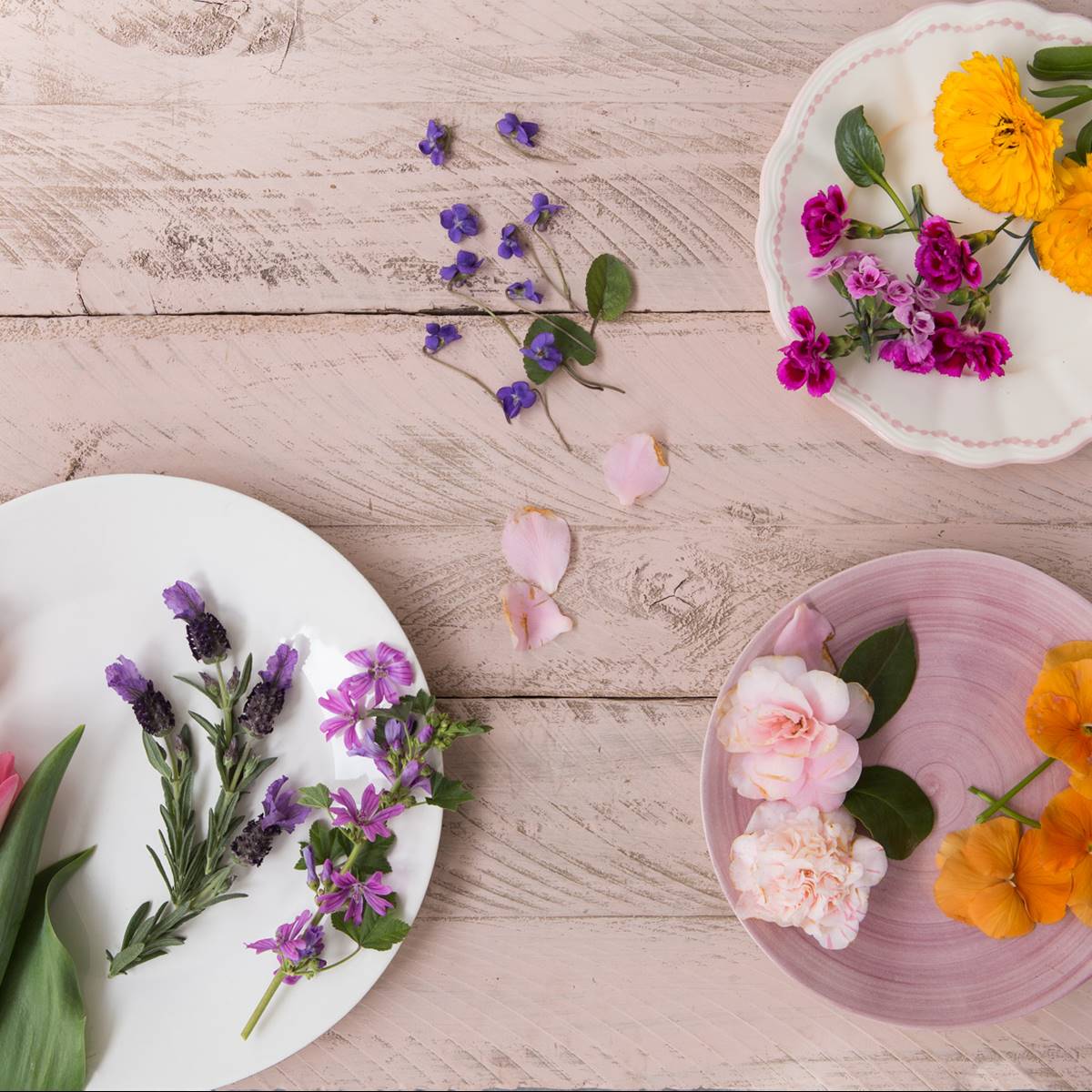 Del ramo al plato: 6 flores que te puedes comer