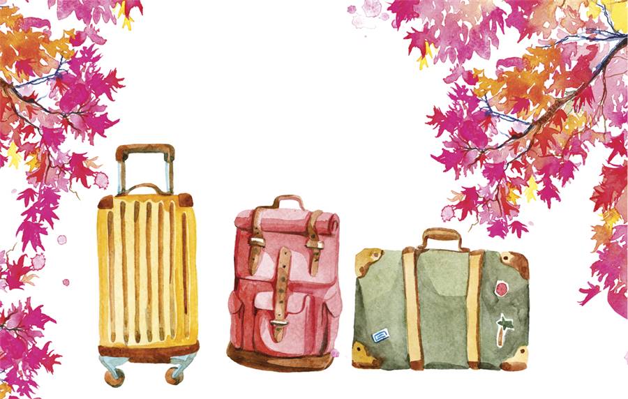 Tres formas de viajar