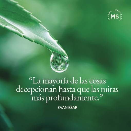 3. “La mayoría de las cosas decepcionan hasta que las miras más profundamente”. Graham Greene