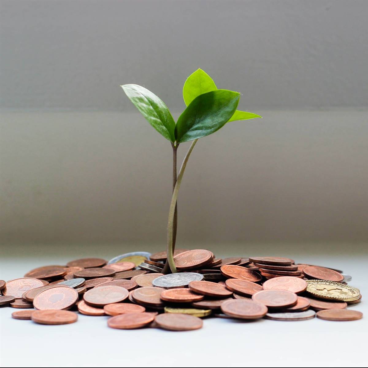 Cómo conseguir dinero, abundancia, prosperidad u oportunidades Cómo conseguir dinero, abundancia, prosperidad u oportunidades