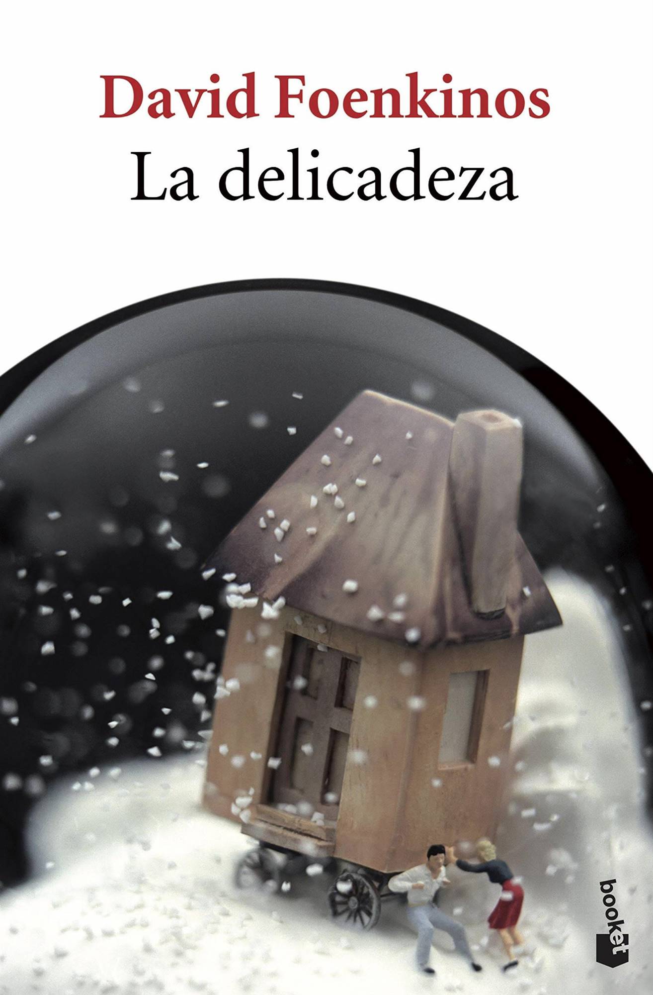 libros amor la delicadeza. El amor en los tiempos del cólera. Gabriel Garcia Marquez. Amor a pesar de los años.