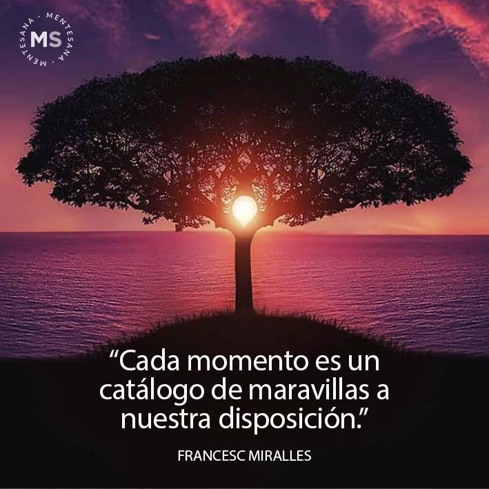 Frases de Francesc Miralles para disfrutar de las pequeñas cosas de la vida Frases de Francesc Miralles para disfrutar de las pequeñas cosas de la vida