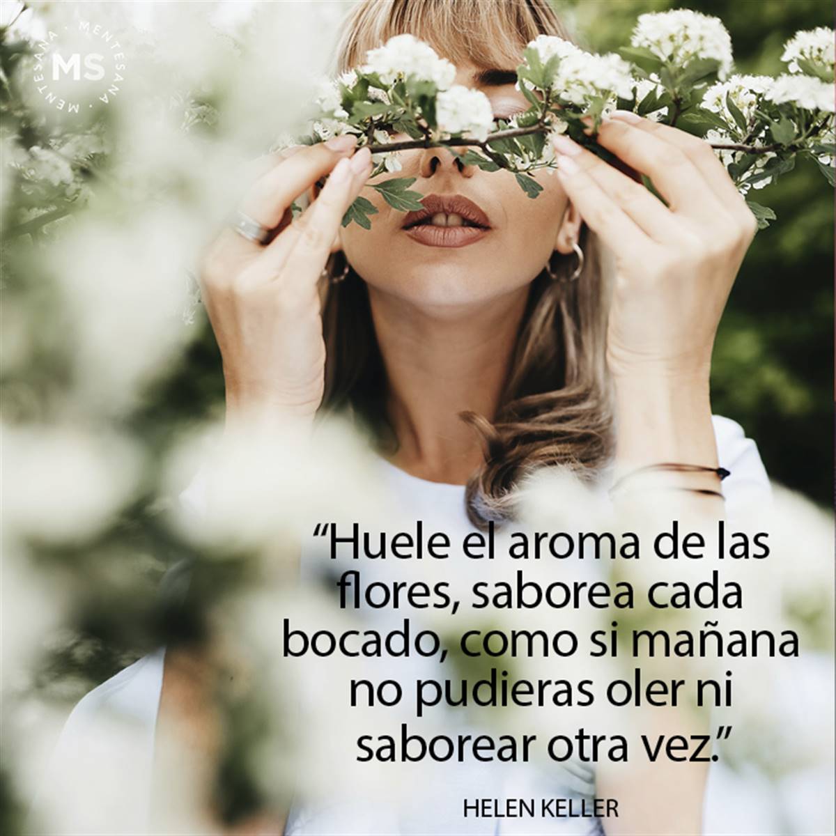 Frases de Francesc Miralles para disfrutar de las pequeñas cosas de la vida Frases de Francesc Miralles para disfrutar de las pequeñas cosas de la vida