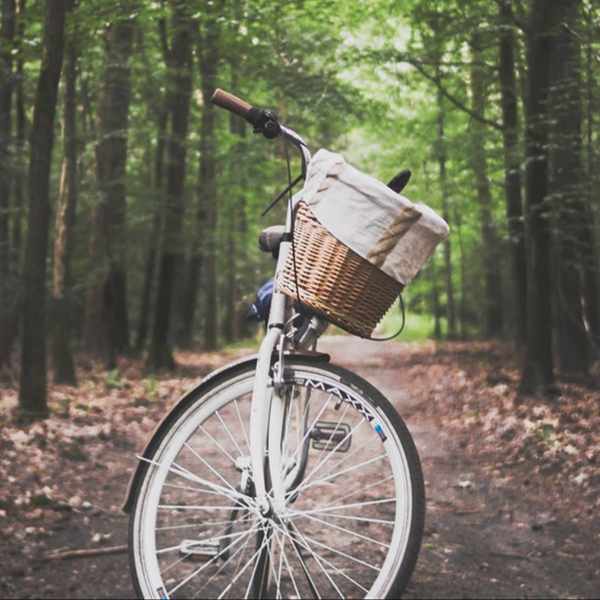 Motivos recuperar bicicleta